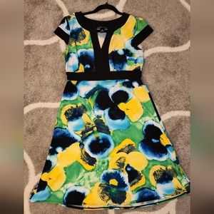 AB Studio A-Line floral Cap Sleeve dress